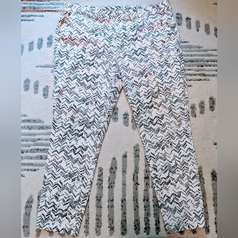 Gap Black and White Zig Zag Dotted Pattern skinny khakis - ankle Pants - Size 10